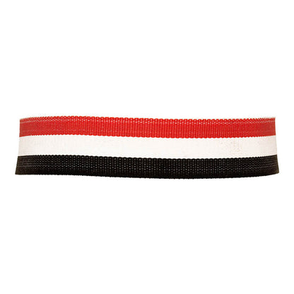 Trendy Choker Necklace